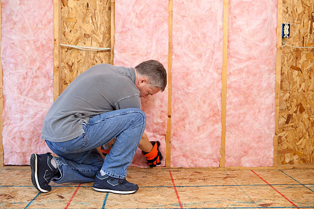 Best Insulation Maintenance and Repair in Redan, GA